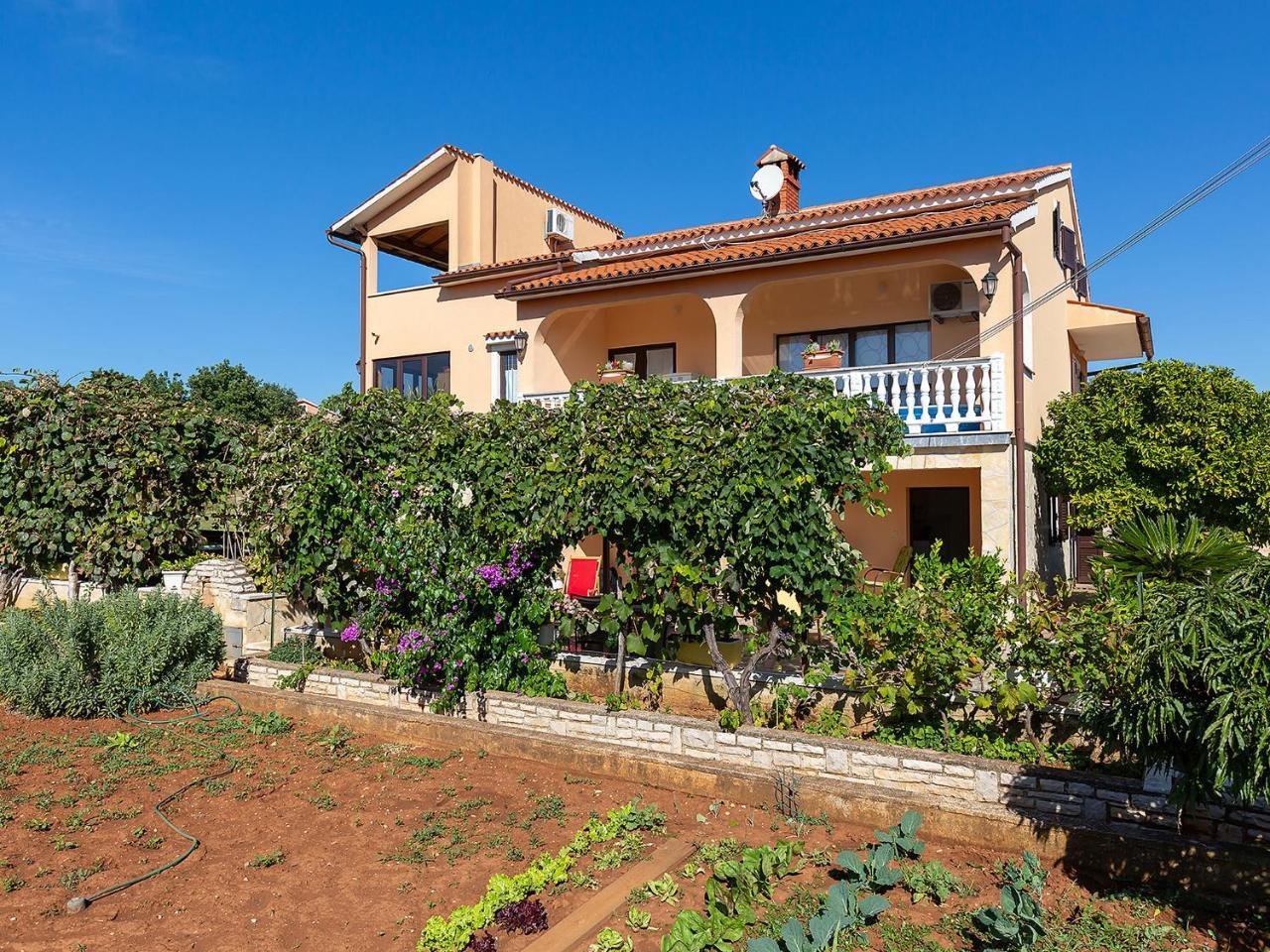 Apartments Alice Green Oasis - Poreč Eksteriør billede